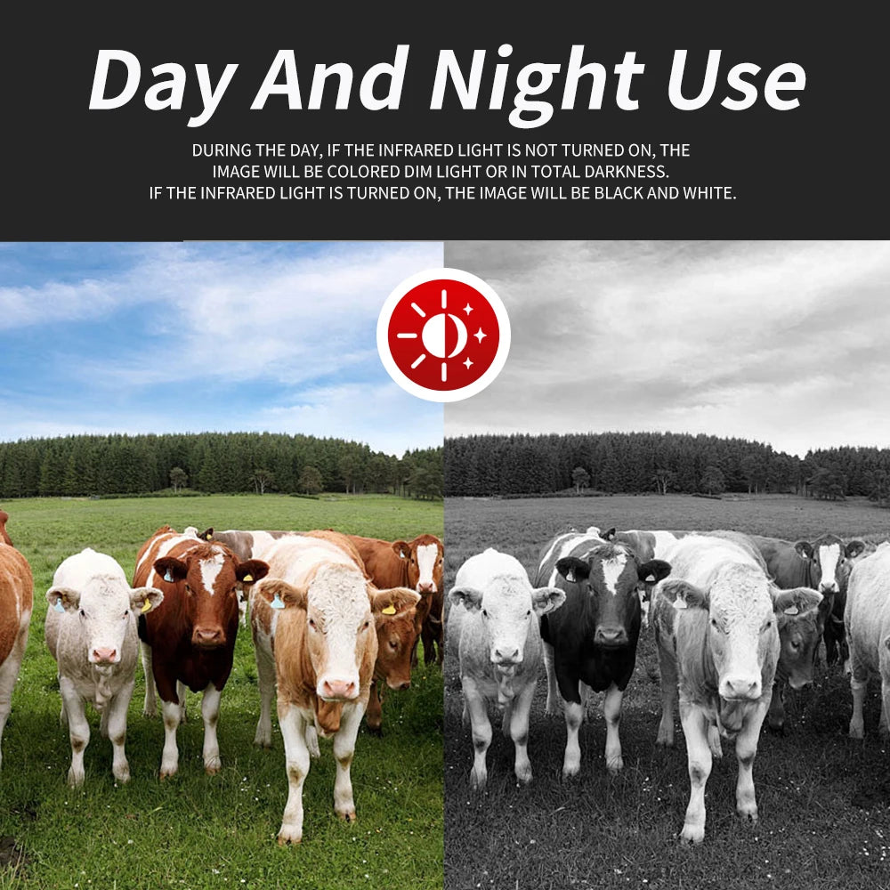 Sdcca923d28f4484c890a3d679bdbde69h